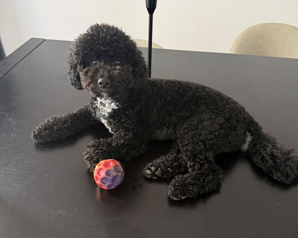 Not allowed on the table