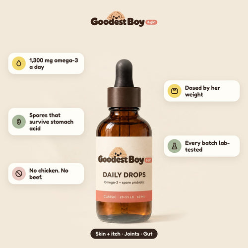What Daily Drops does: 1,300 mg omega-3, spores, no chicken or beef