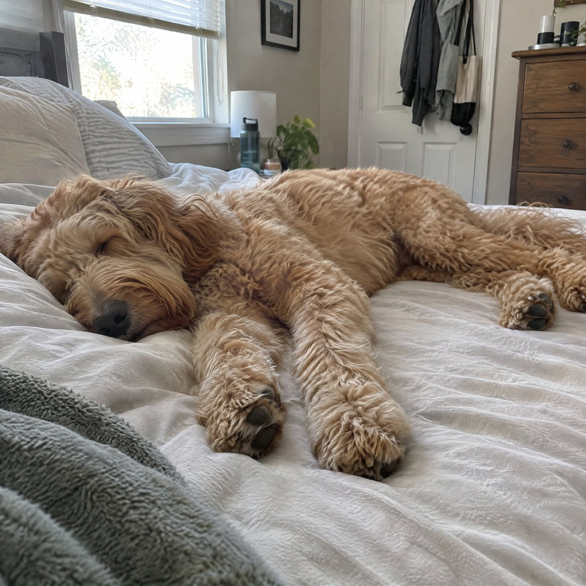 Weeks 2–4 · Itch